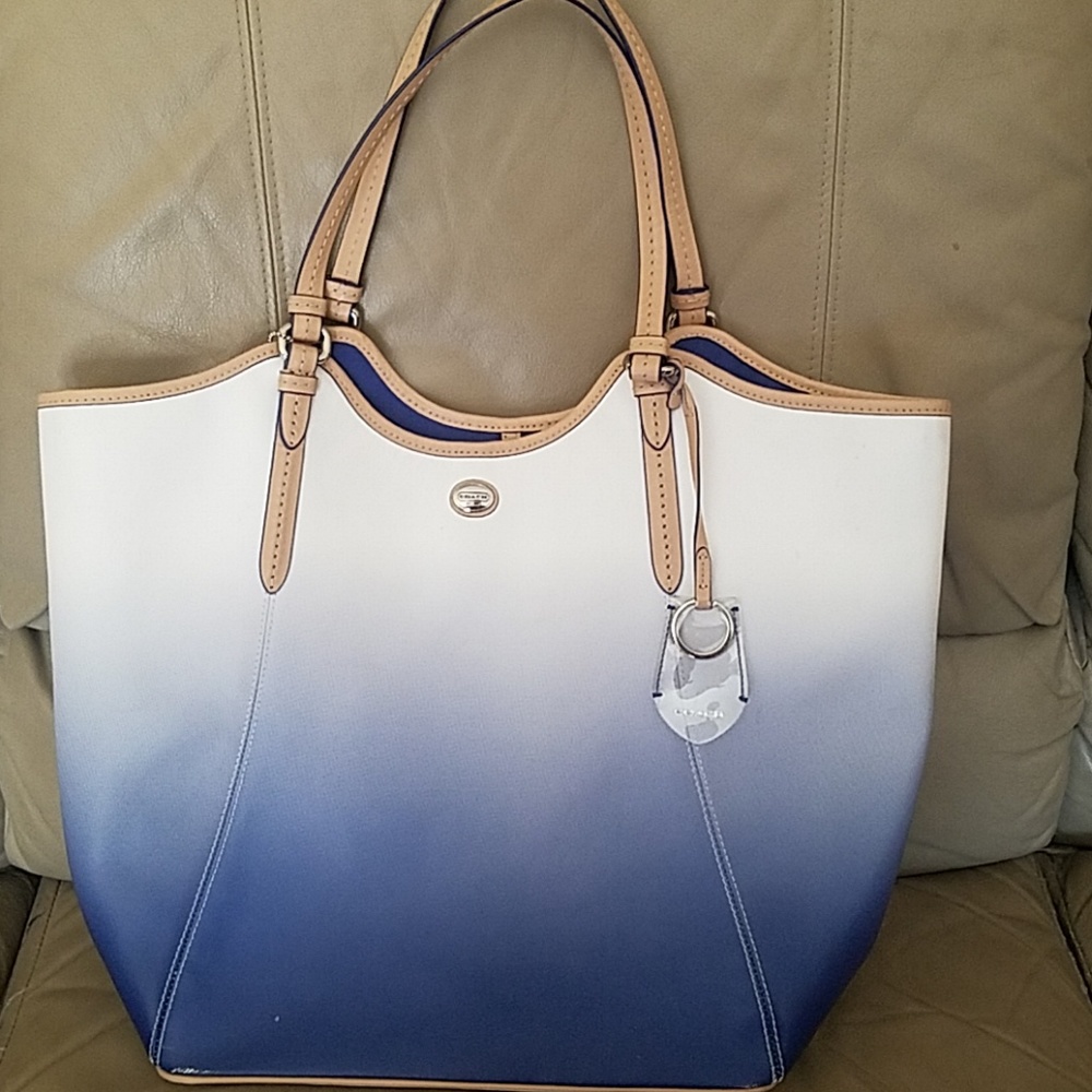 Blue to White Ombre Coach Bag